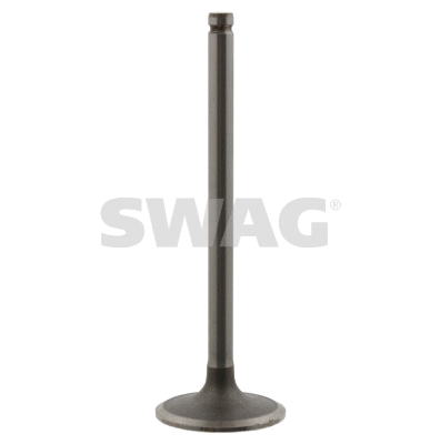 Intake Valve (62 91 8767)