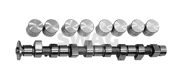 Camshaft Kit (10 32 0008)