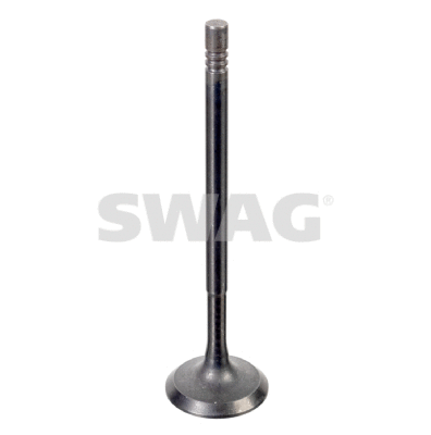 Intake Valve (33 10 3620)