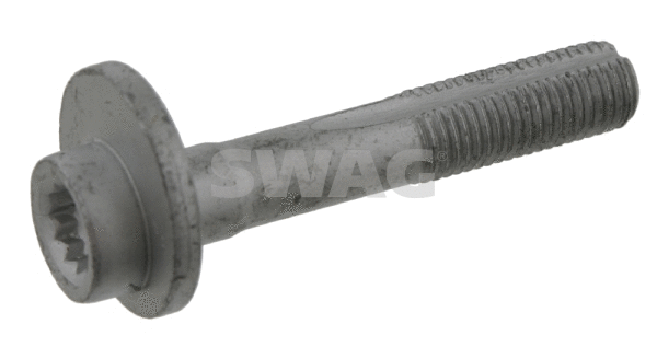 Camber Correction Screw (10 91 0147)