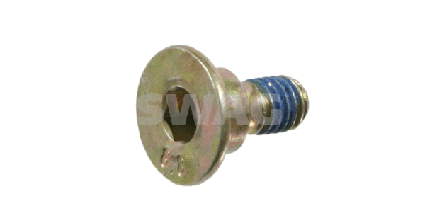 Bolt, brake disc (10 90 5560)