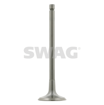 Intake Valve (62 92 6031)