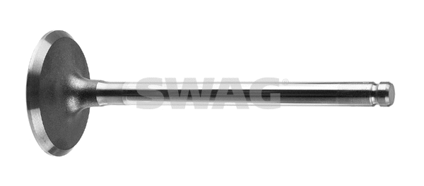 Intake Valve (40 91 7384)