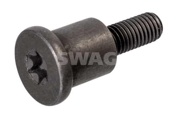 Sliding Rail Bolts, timing chain (20 10 9475)