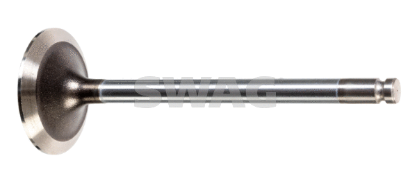 Intake Valve (33 10 2407)