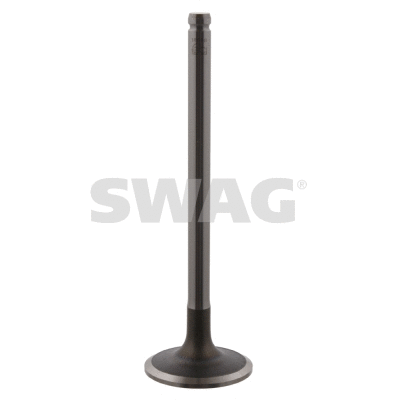 Intake Valve (62 91 8668)