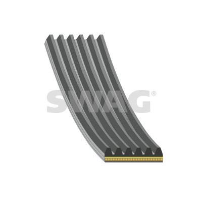 V-Ribbed Belt (33 10 9699)