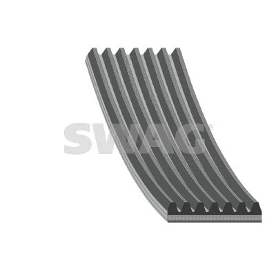 V-Ribbed Belt (33 10 4869)