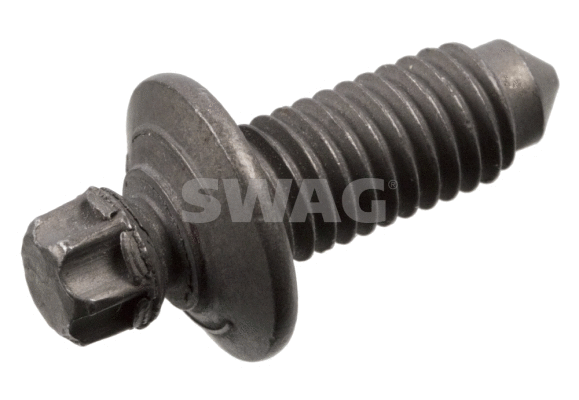 Screw (30 10 1007)