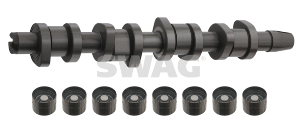 Camshaft Kit (30 93 3195)
