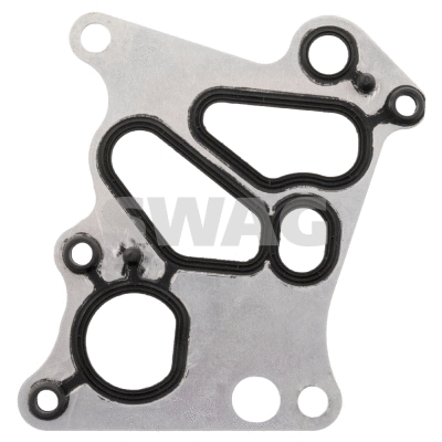 Gasket, oil cooler (10 10 2169)