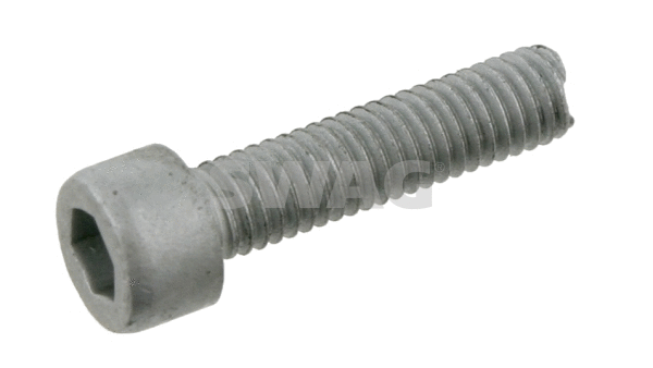 Screw (10 90 8953)