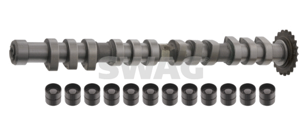 Camshaft Kit (30 93 3198)