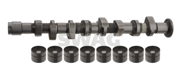 Camshaft Kit (30 93 2994)