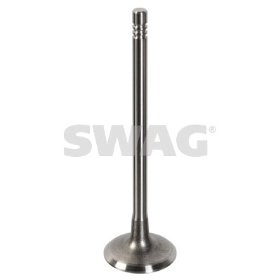 Intake Valve (33 10 8365)