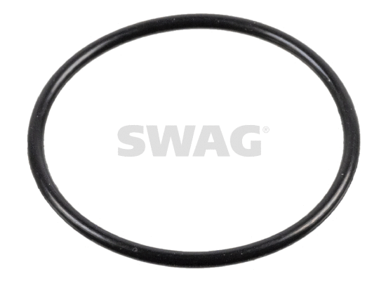 Screw Plug, crankcase (10 93 8553)