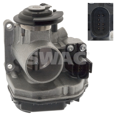 Throttle Body (30 10 0795)