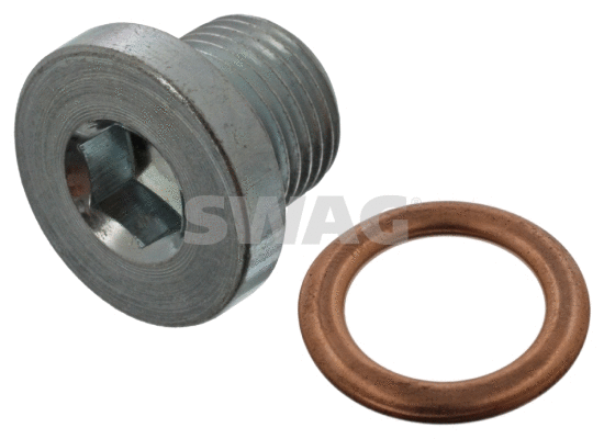 Screw Plug, oil sump (62 94 5618)
