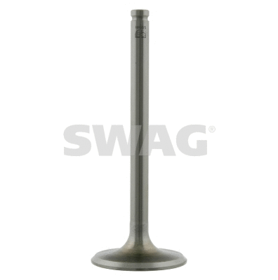 Intake Valve (62 91 8665)