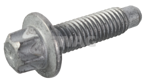 Screw (33 10 4028)