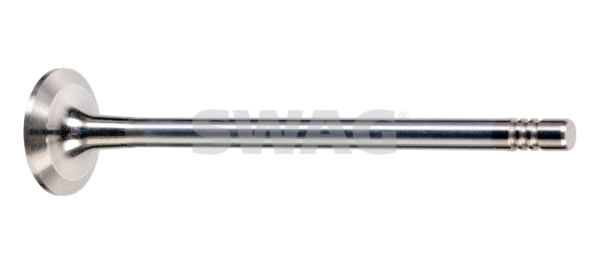 Exhaust Valve (33 10 3619)