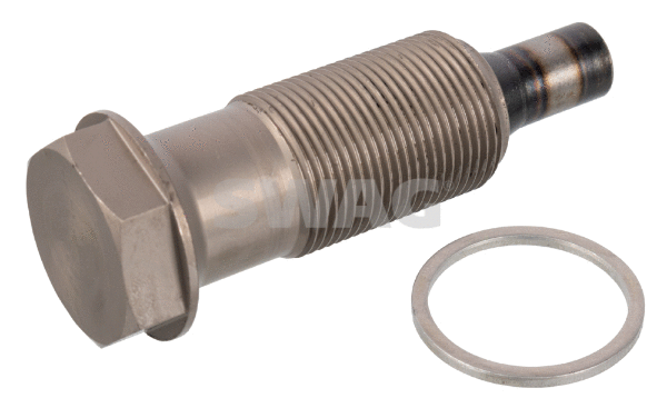 Tensioner, timing chain (10 10 2700)