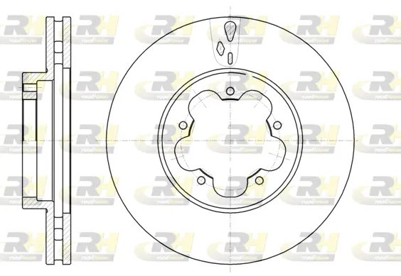 Brake Disc (61021.10)