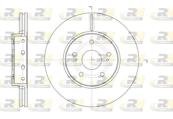 Brake Disc (62513.10)