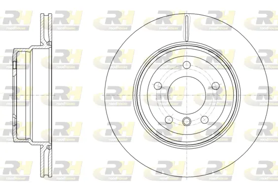 Brake Disc (61494.10)