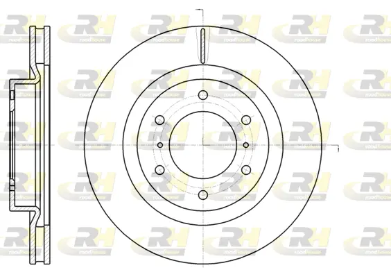 Brake Disc (61100.10)