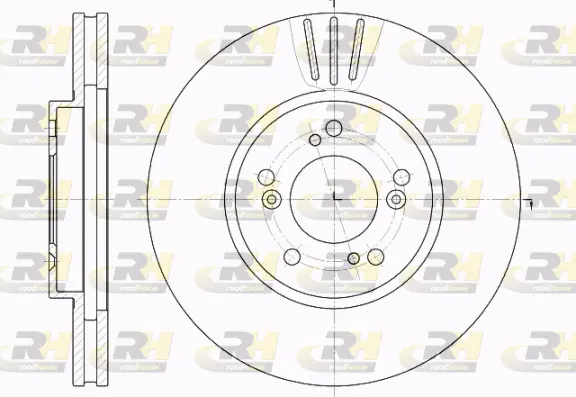 Brake Disc (62031.10)