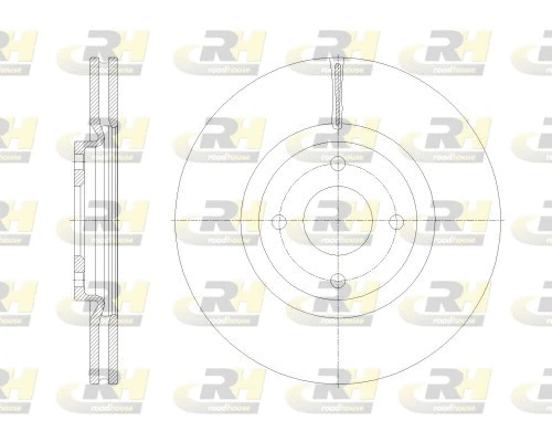 Brake Disc (62531.10)