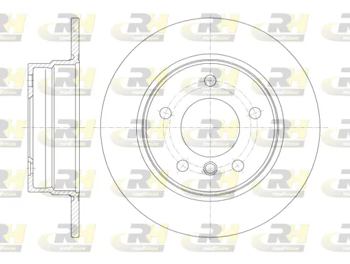 Brake Disc (61013.00)