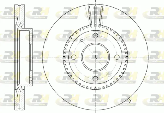 Brake Disc (6668.10)