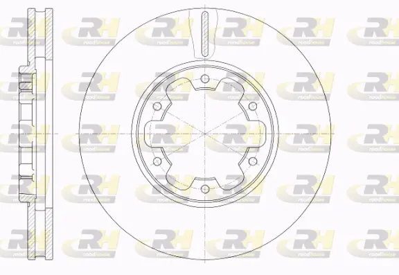 Brake Disc (61931.10)