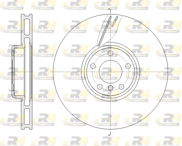 Brake Disc (61905.10)