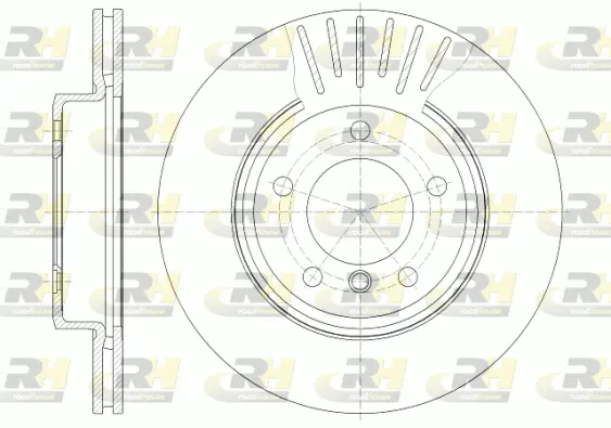 Brake Disc (6589.10)