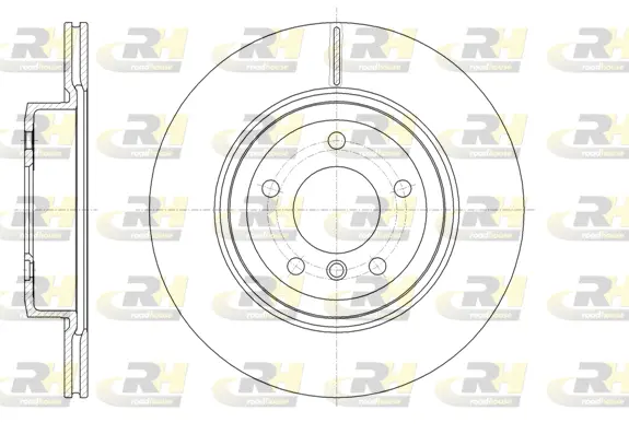 Brake Disc (61631.10)