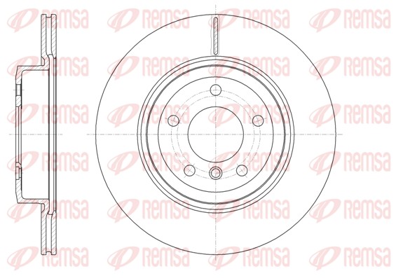 Brake Disc (61631.10)