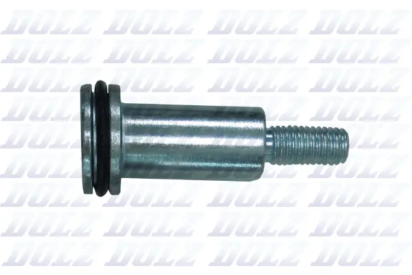 Screw (02KCP007)