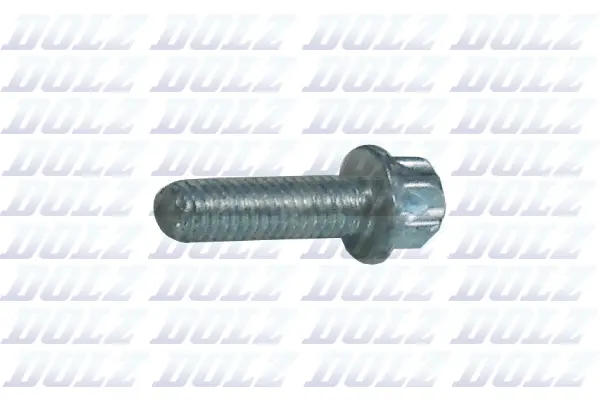 Screw (02KCP013)