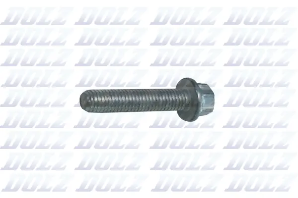 Screw (02KCP011)