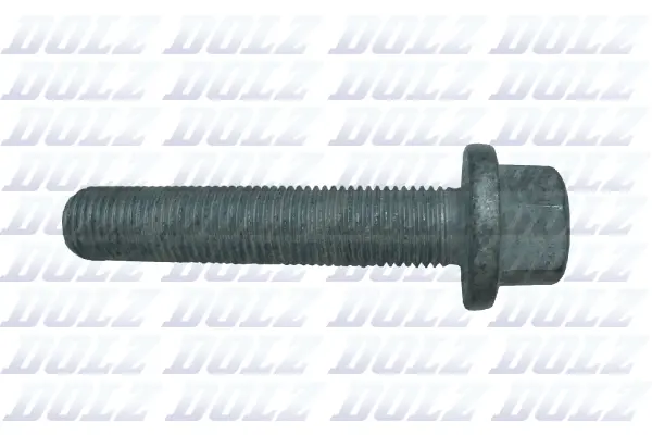 Screw (02KCP068)
