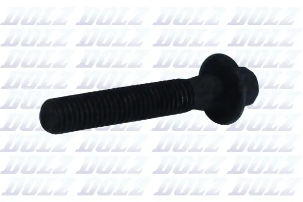 Screw (02KCP012)