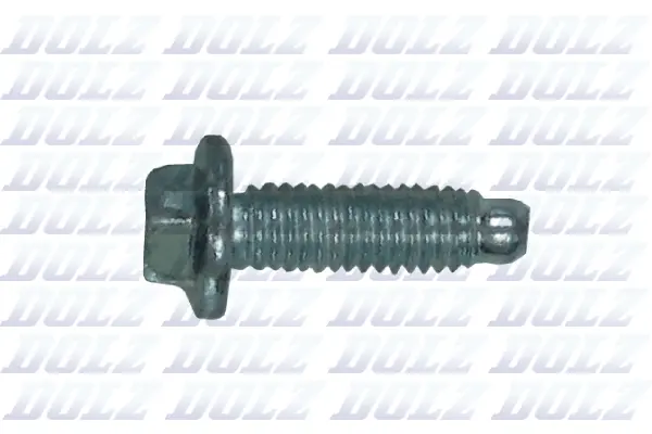 Screw (02KCP008)