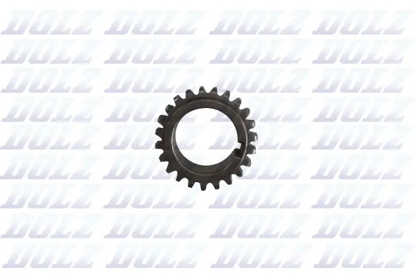 Chain Sprocket (06KC123)