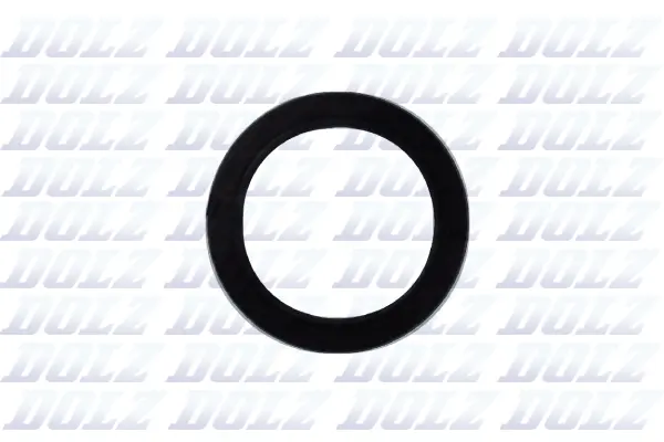 Shaft Seal, crankshaft (02KCS006)