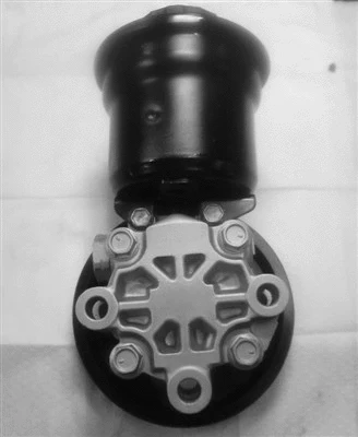 Hydraulic Pump, steering (32-62560)