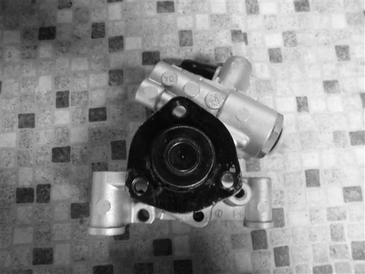 Hydraulic Pump, steering (32-89594)