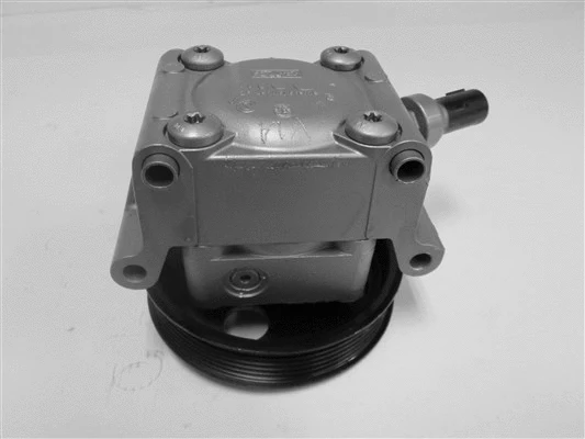 Hydraulic Pump, steering (32-76594)